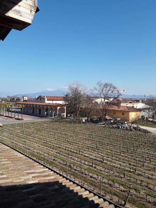 Apartamento Casa Di Michela A Sirmione Con Piscina Exterior foto